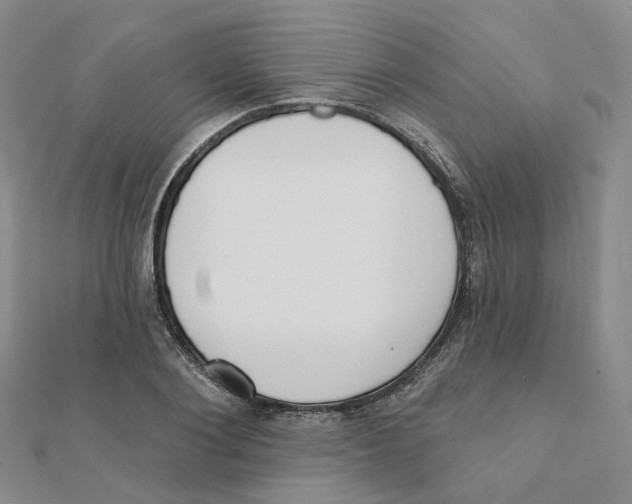 X0000112080884200909011041