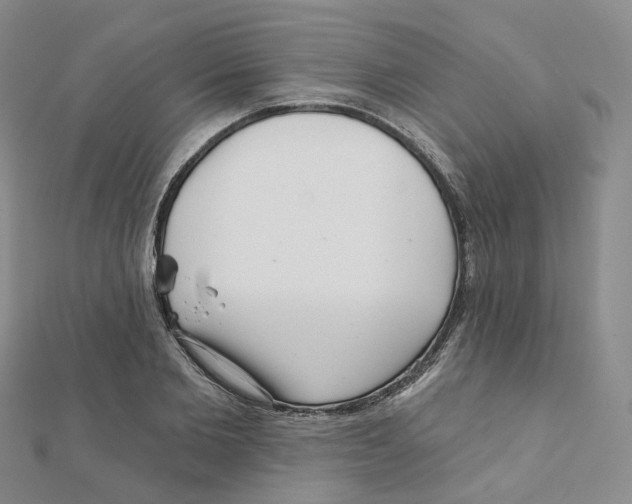 X0000112080885200909011041