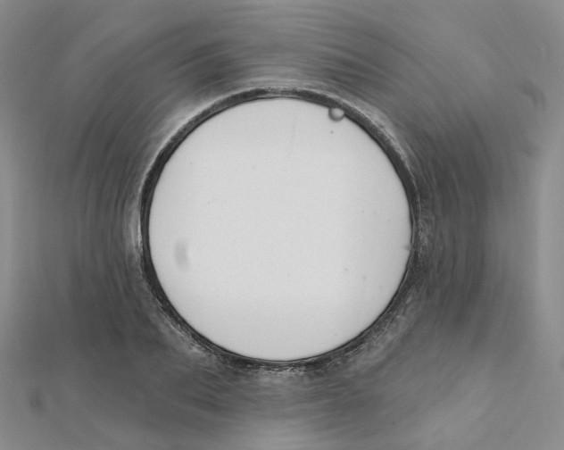 X0000112080887200909011041