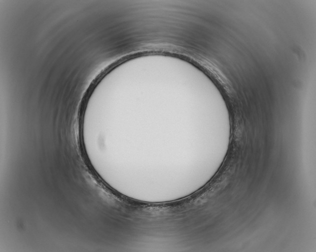 X0000112080888200909011041