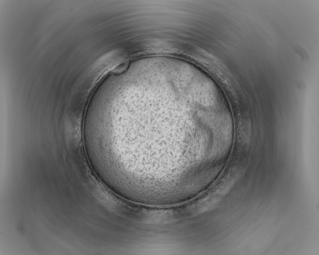 X0000112080889200909011041