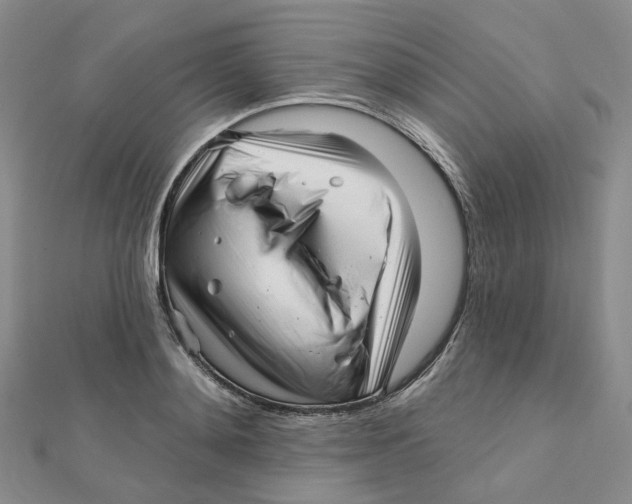 X0000112080892200909011041