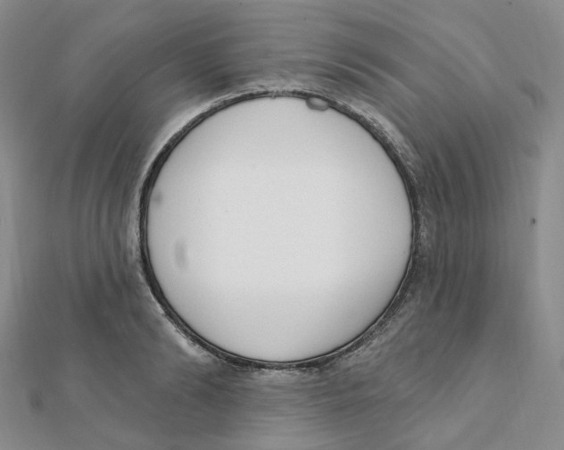 X0000112080894200909011041