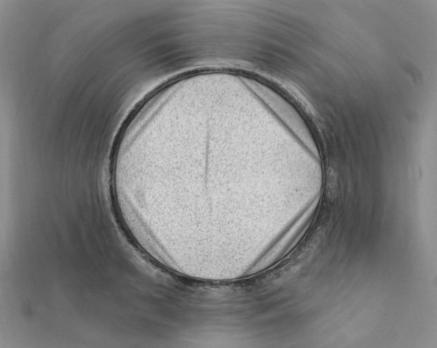 X0000112080895200909011041
