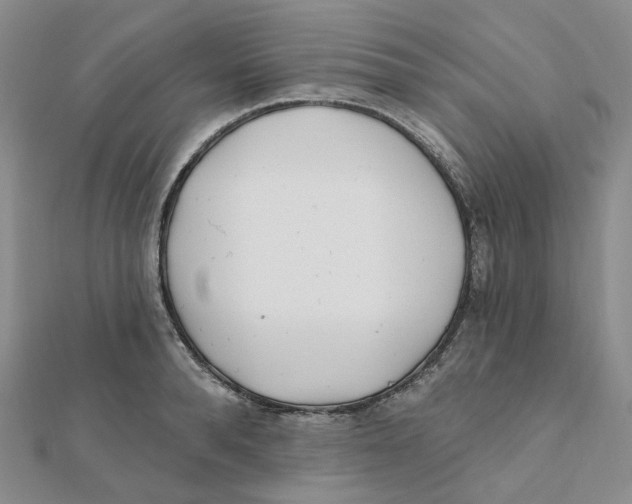 X0000112080896200909011041