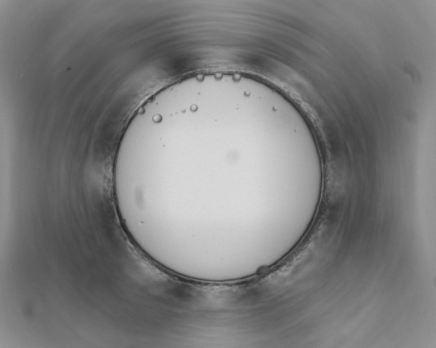 X0000112080897200909011041