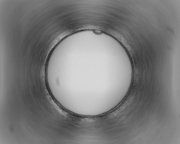 X0000112080898200909011041