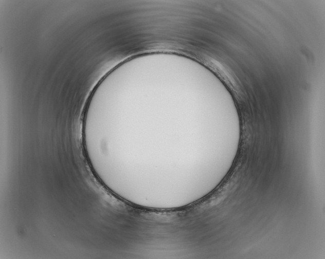 X0000112080900200909011041