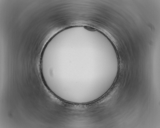 X0000112080901200909011041