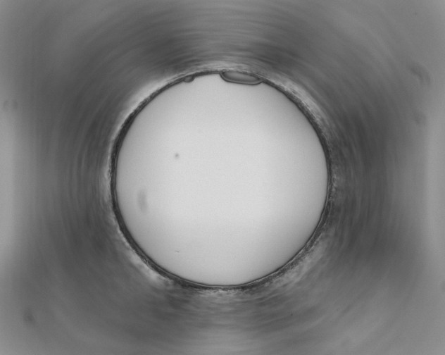 X0000112080902200909011041