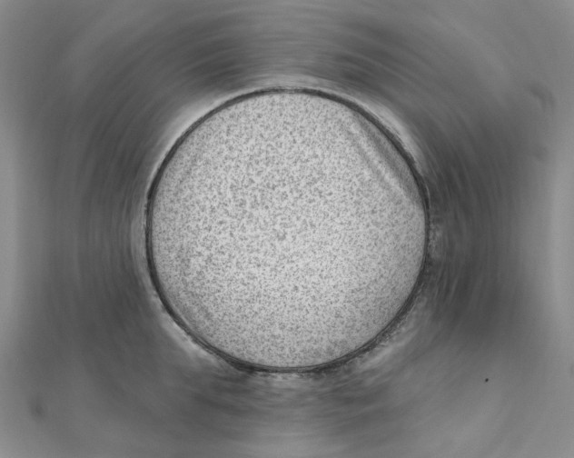 X0000112080903200909011041