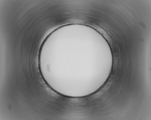 X0000112080904200909011041