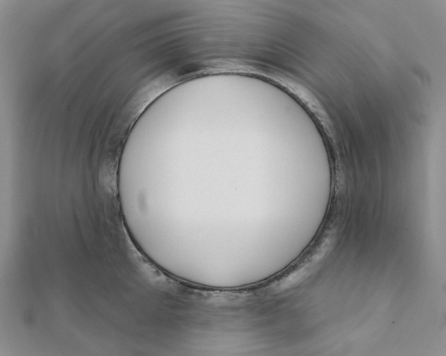 X0000112080905200909011041