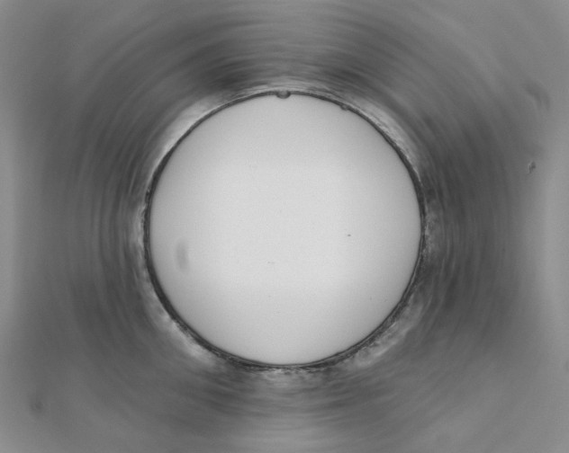 X0000112080906200909011041