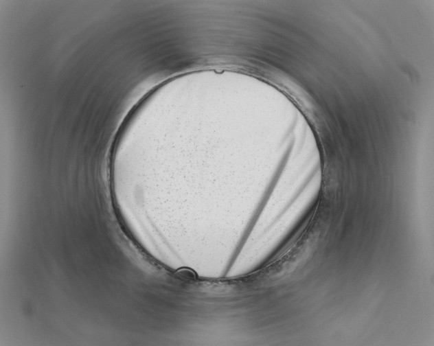 X0000112080907200909011041