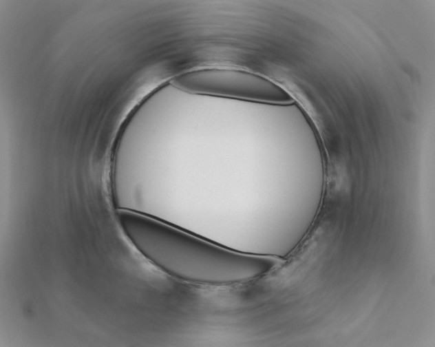 X0000112080909200909011041