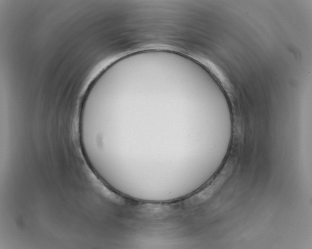 X0000112080910200909011041