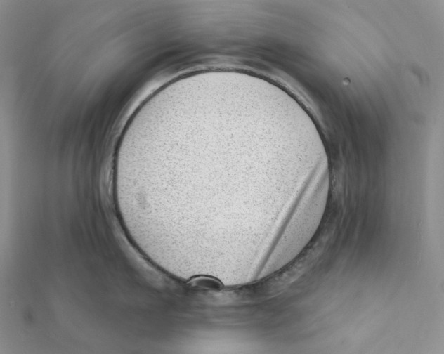 X0000112080911200909011041