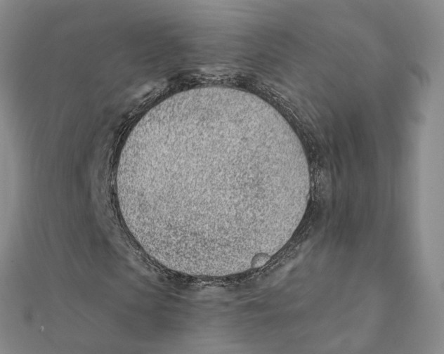 X0000112080913200909011040