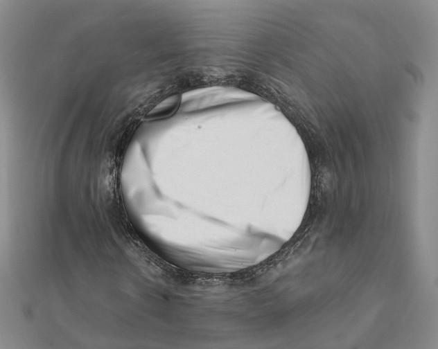 X0000112080914200909011040