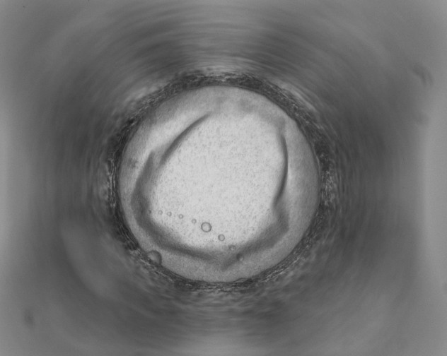 X0000112080917200909011040