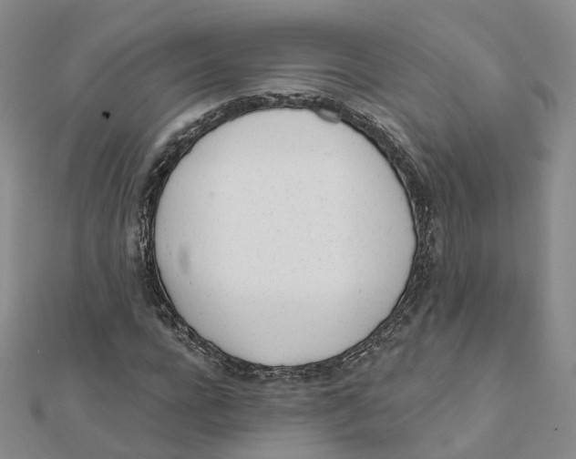 X0000112080920200909011040