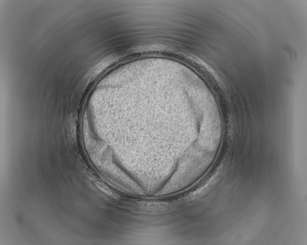 X0000112080921200909011040