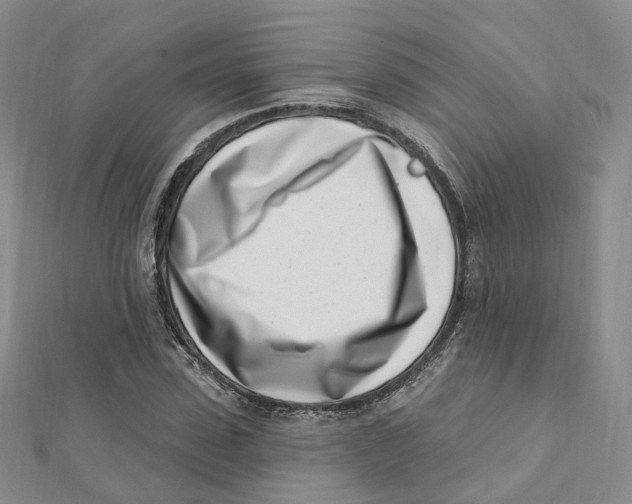 X0000112080923200909011040