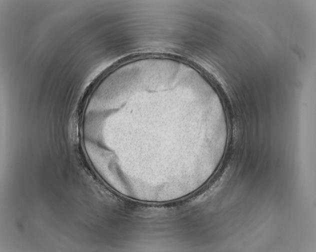 X0000112080925200909011040