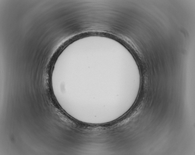 X0000112080926200909011040