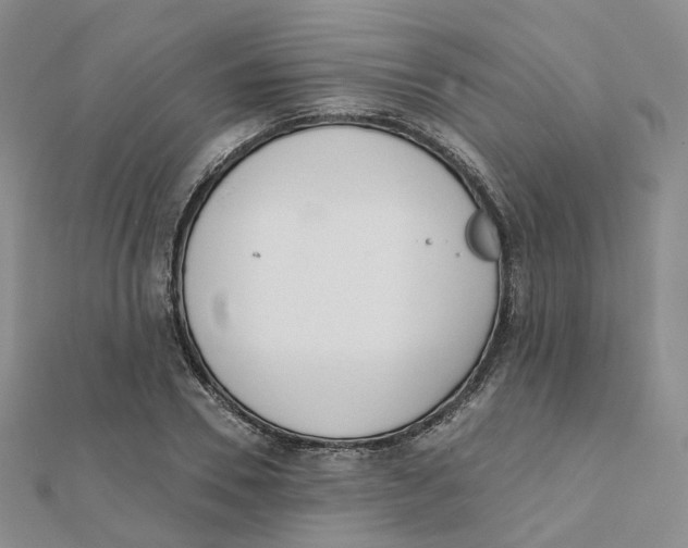 X0000112080930200909011040