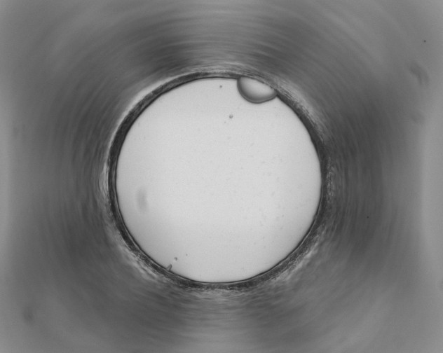X0000112080932200909011040