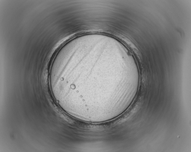 X0000112080933200909011040