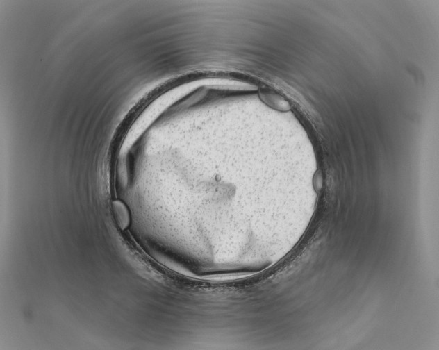 X0000112080934200909011040