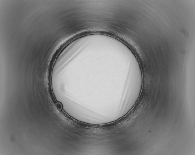 X0000112080935200909011040