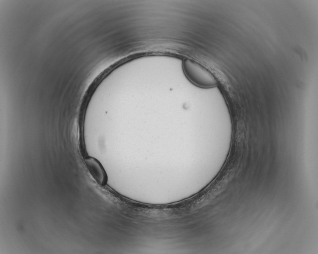 X0000112080936200909011040