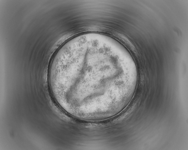 X0000112080938200909011040