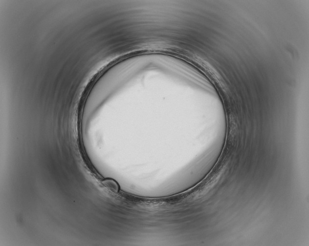 X0000112080939200909011040