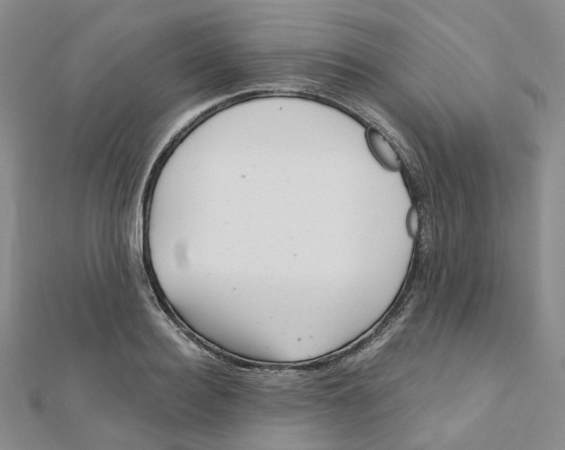 X0000112080940200909011040