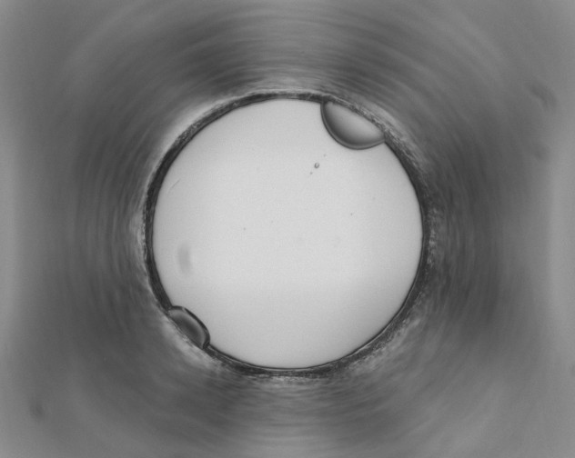X0000112080942200909011041
