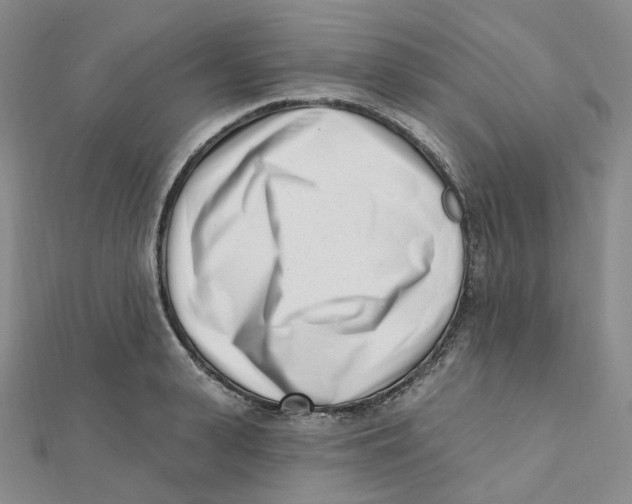 X0000112080943200909011041