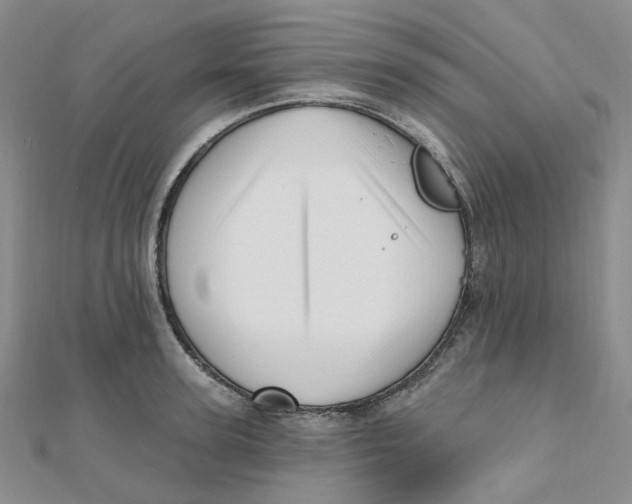 X0000112080947200909011041