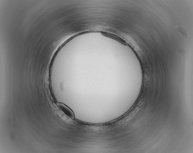X0000112080948200909011041
