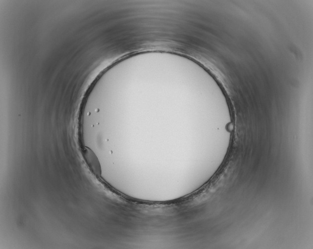 X0000112080949200909011041
