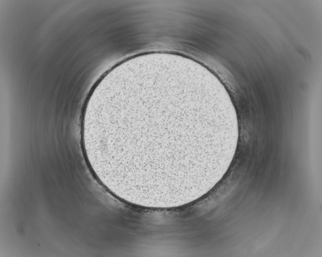 X0000112080950200909011041