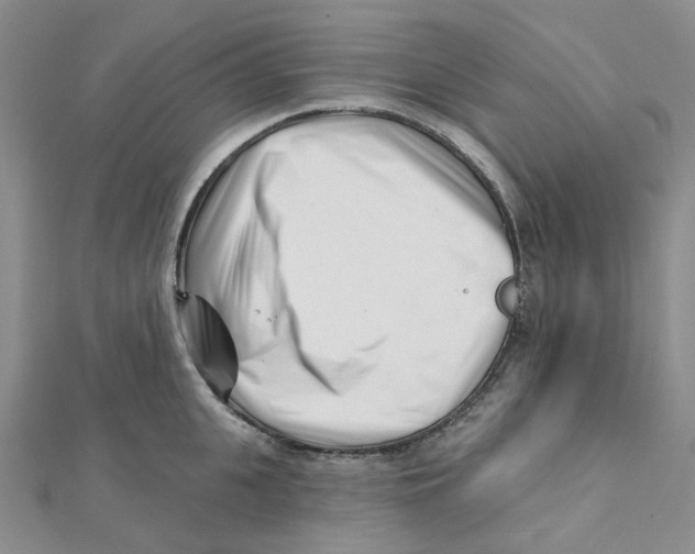 X0000112080951200909011041