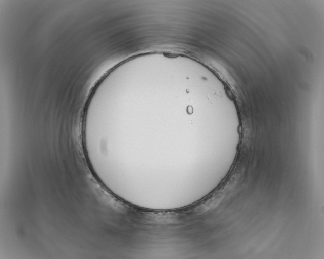 X0000112080952200909011041