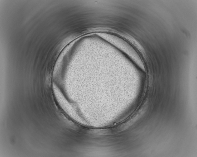 X0000112080953200909011041