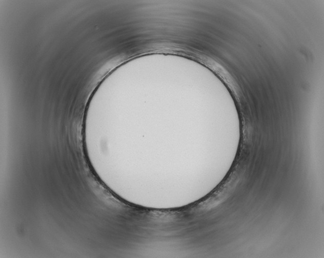 X0000112080954200909011041