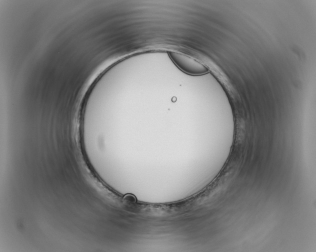 X0000112080955200909011041